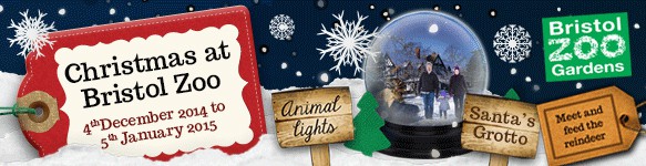 #Bristol #Zoo #Christmas #Reindeer #NewYear