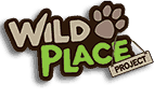 wild place project