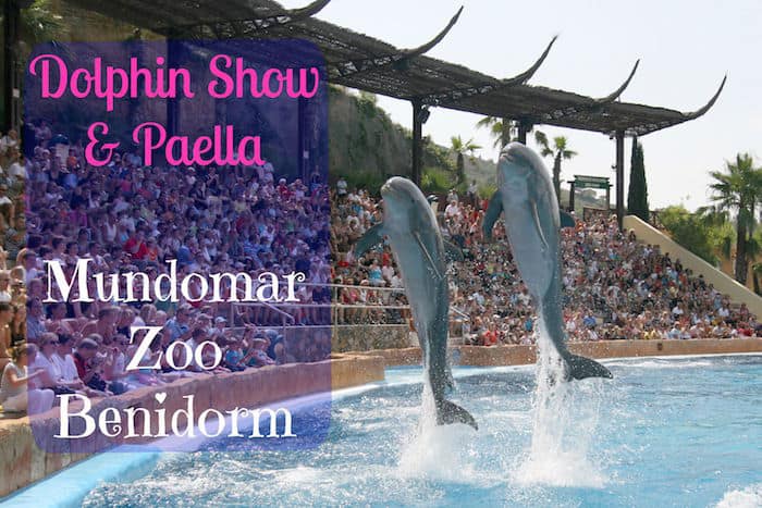 Dolphin Show Mundomar Benidorm