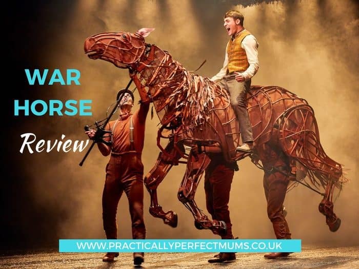 War Horse Review Bristol Hippodrome