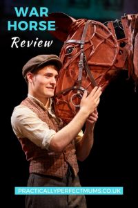 War Horse Review Bristol Pin