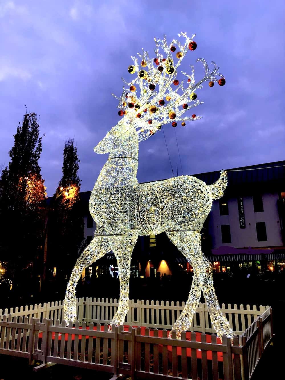 Large illuminated Christmas Reindeer at Cabot Circus