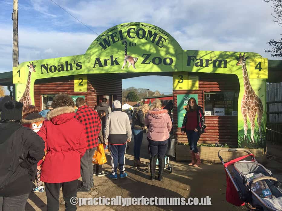 Focus on Noah's Ark Zoo: Biggest Zoo in the South West